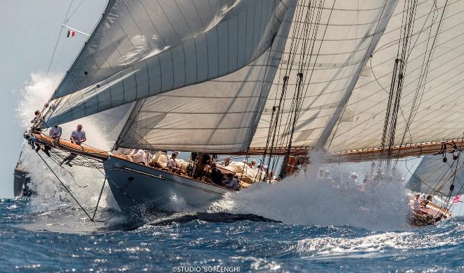 St. Barths Bucket Regatta © Carlo Borlenghi